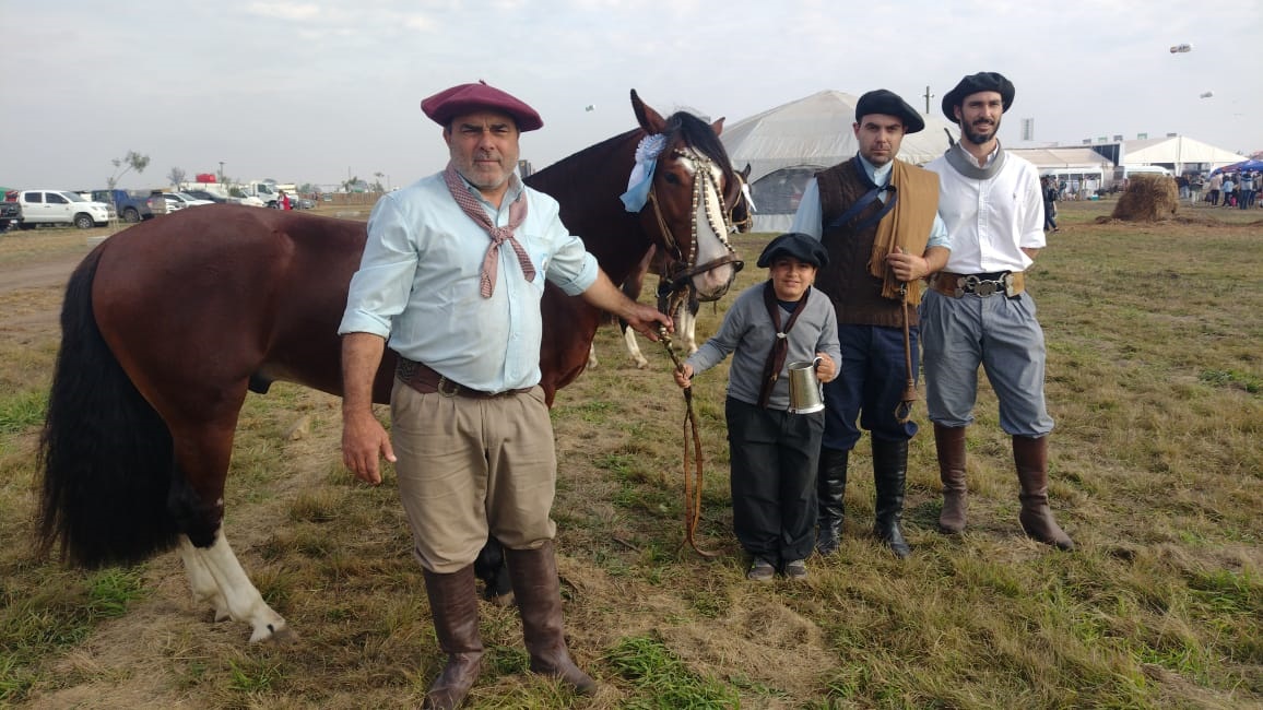Â“Pampado SorgoÂ”, el padrillo Gran CampeÃ³n de los Caballos Criollos 